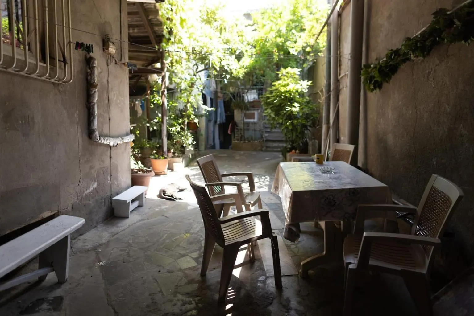 Wine House Hotel Tbilisi Guest house